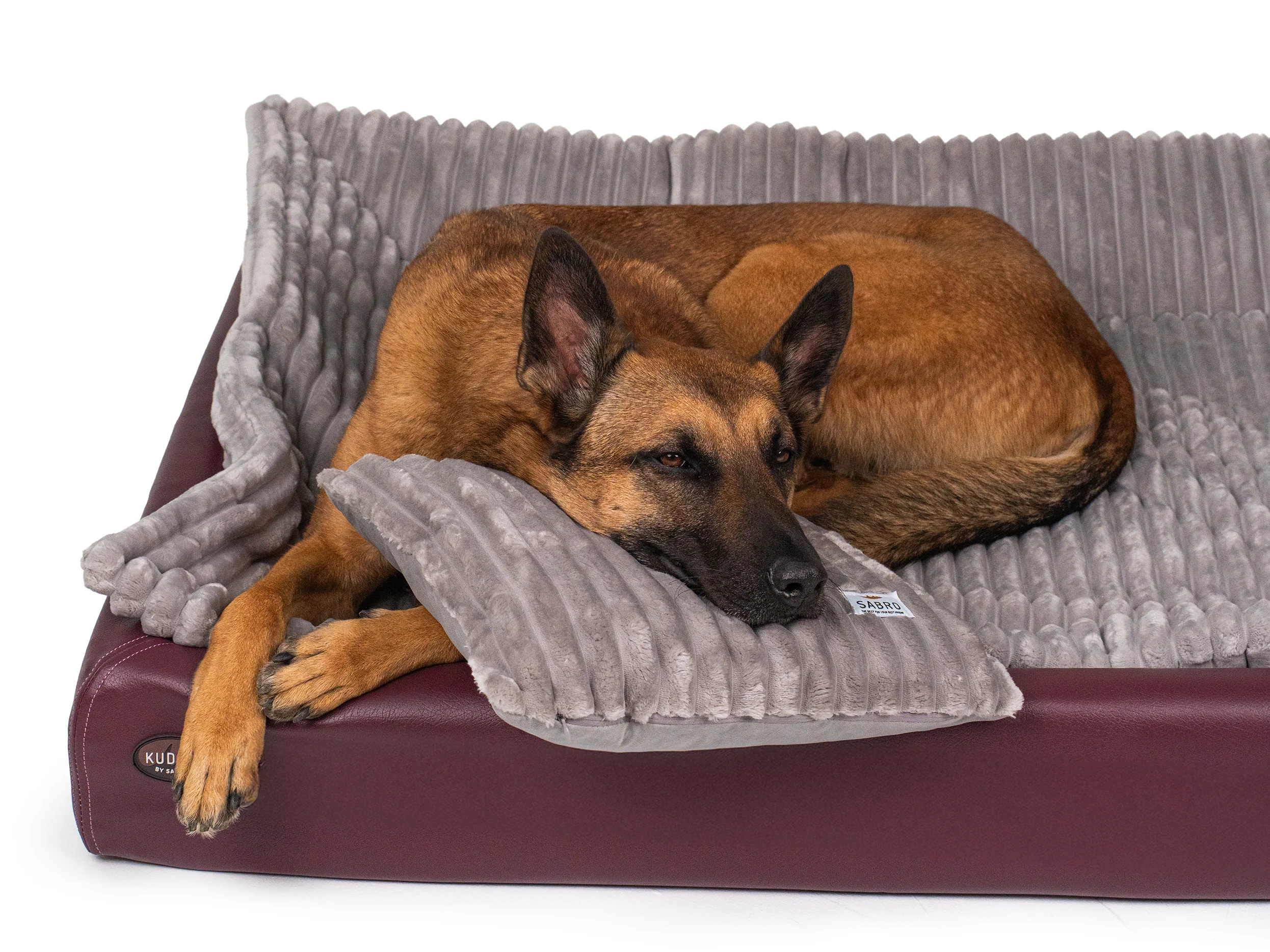 All-In Relax Bundle | KUDDE Hundebett + Einlage & Kissen - Image 11