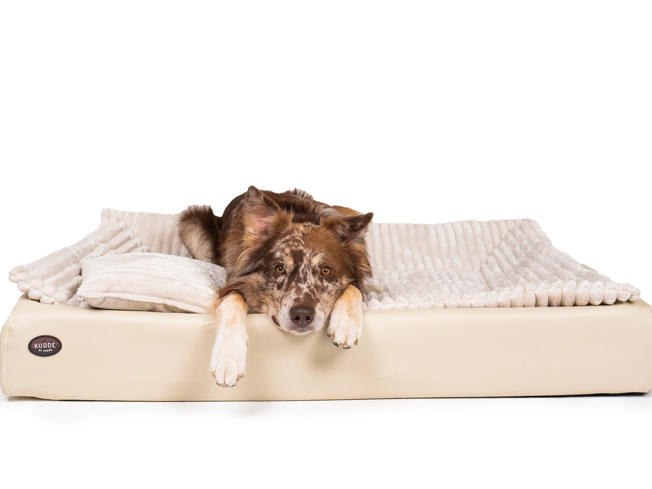 All-In Relax Bundle | KUDDE Hundebett + Einlage & Kissen - Image 15