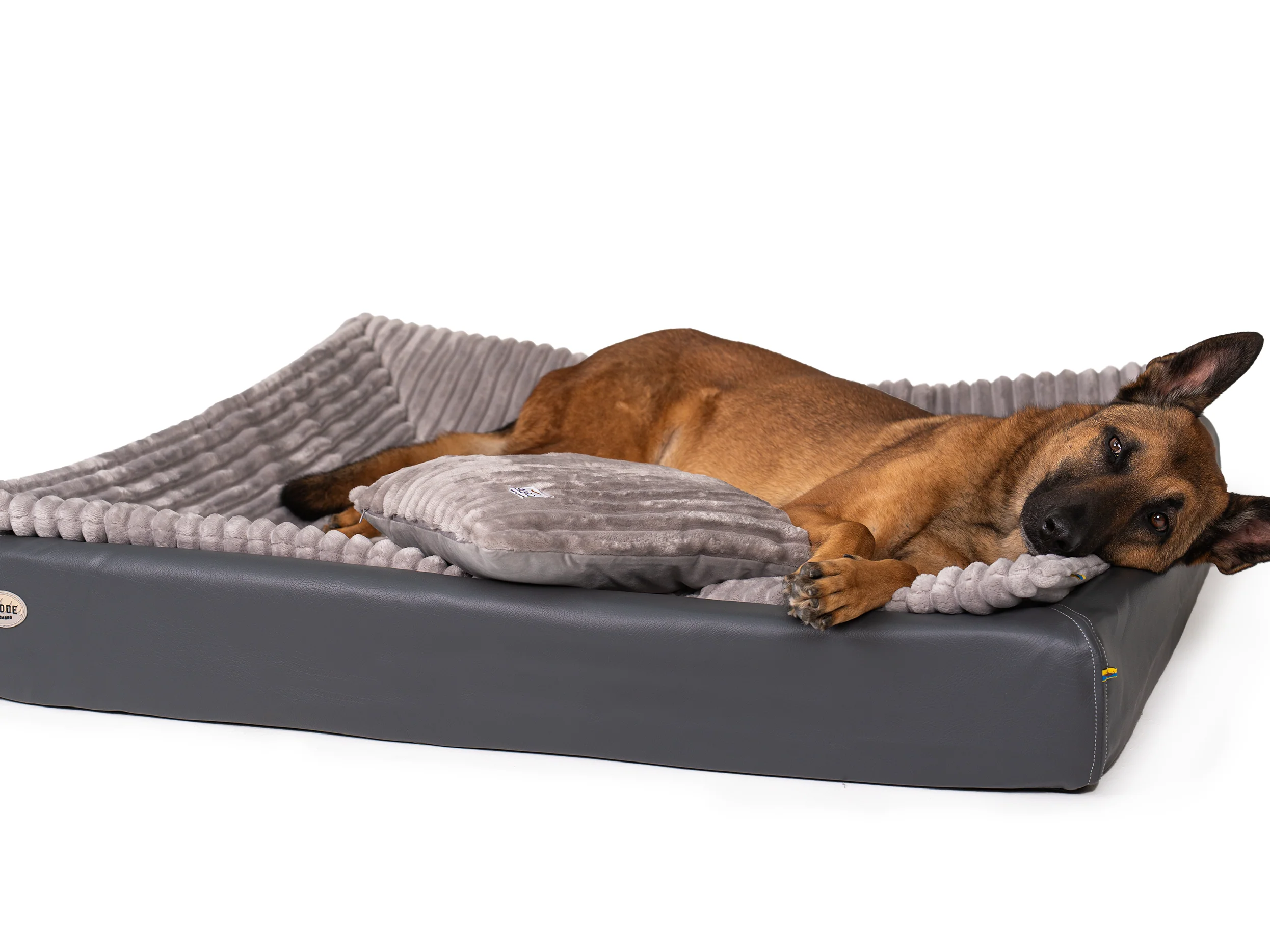 All-In Relax Bundle | KUDDE Hundebett + Einlage & Kissen - Image 4