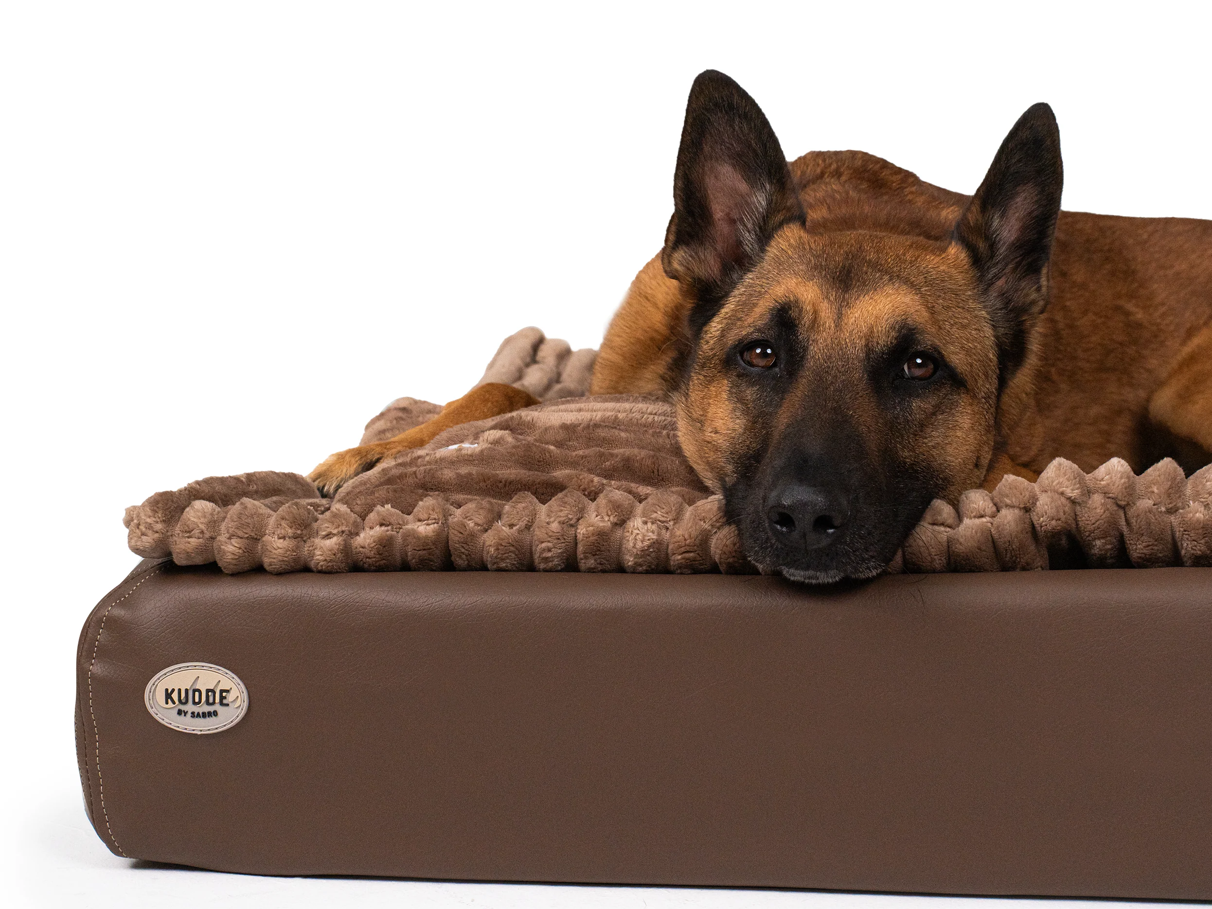 All-In Relax Bundle | KUDDE Hundebett + Einlage & Kissen - Image 8