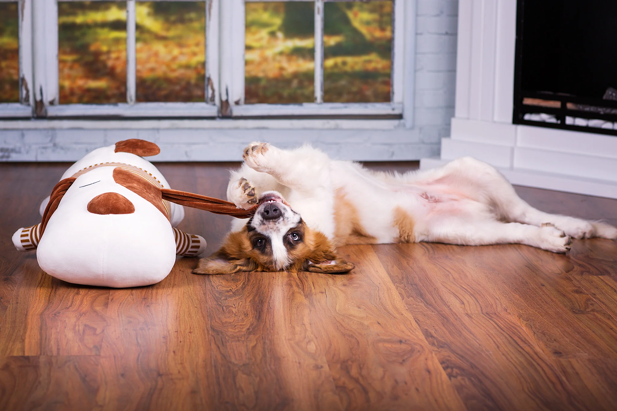 Ankuschelhund TOBI - Image 3