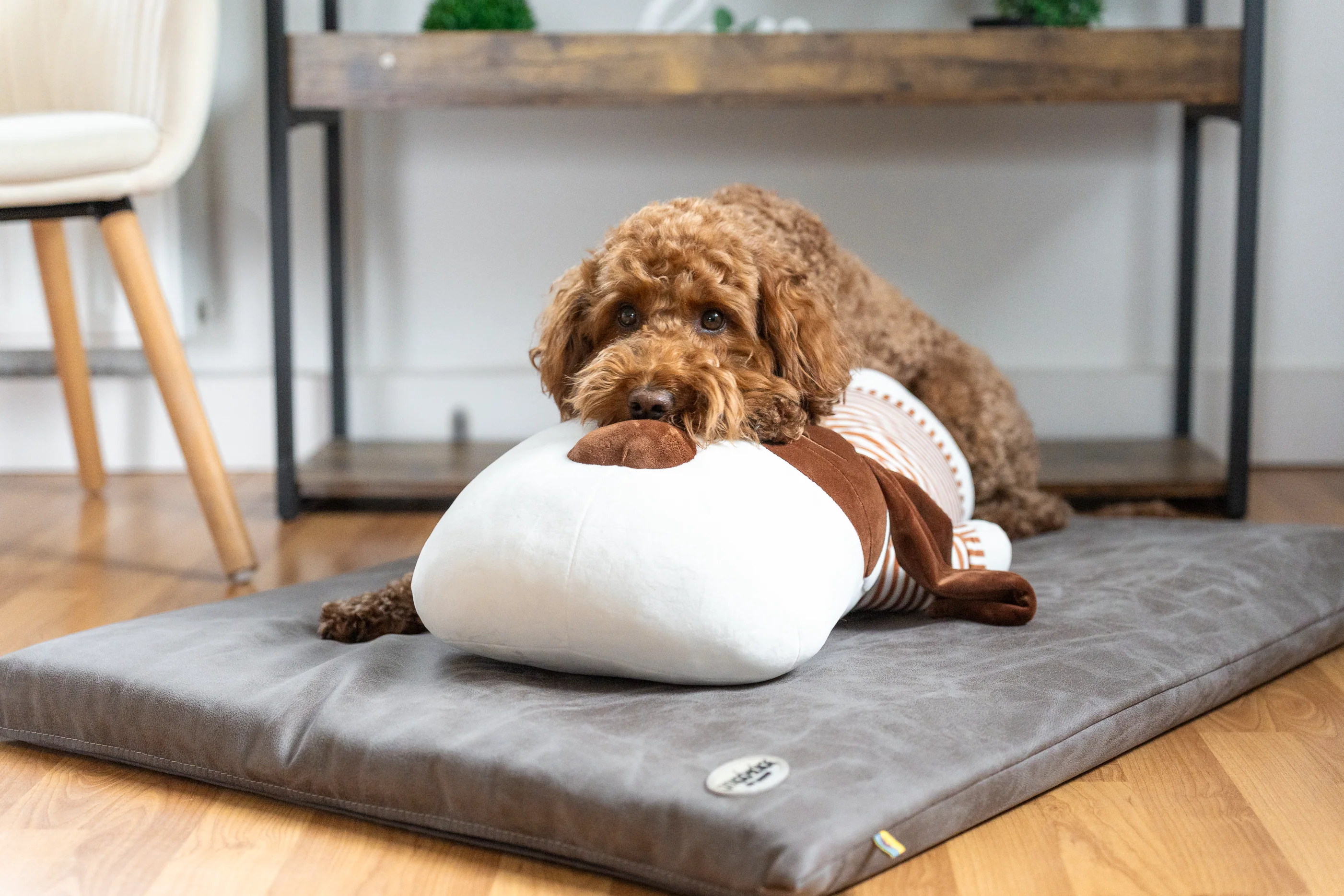 Ankuschelhund TOBI - Image 4