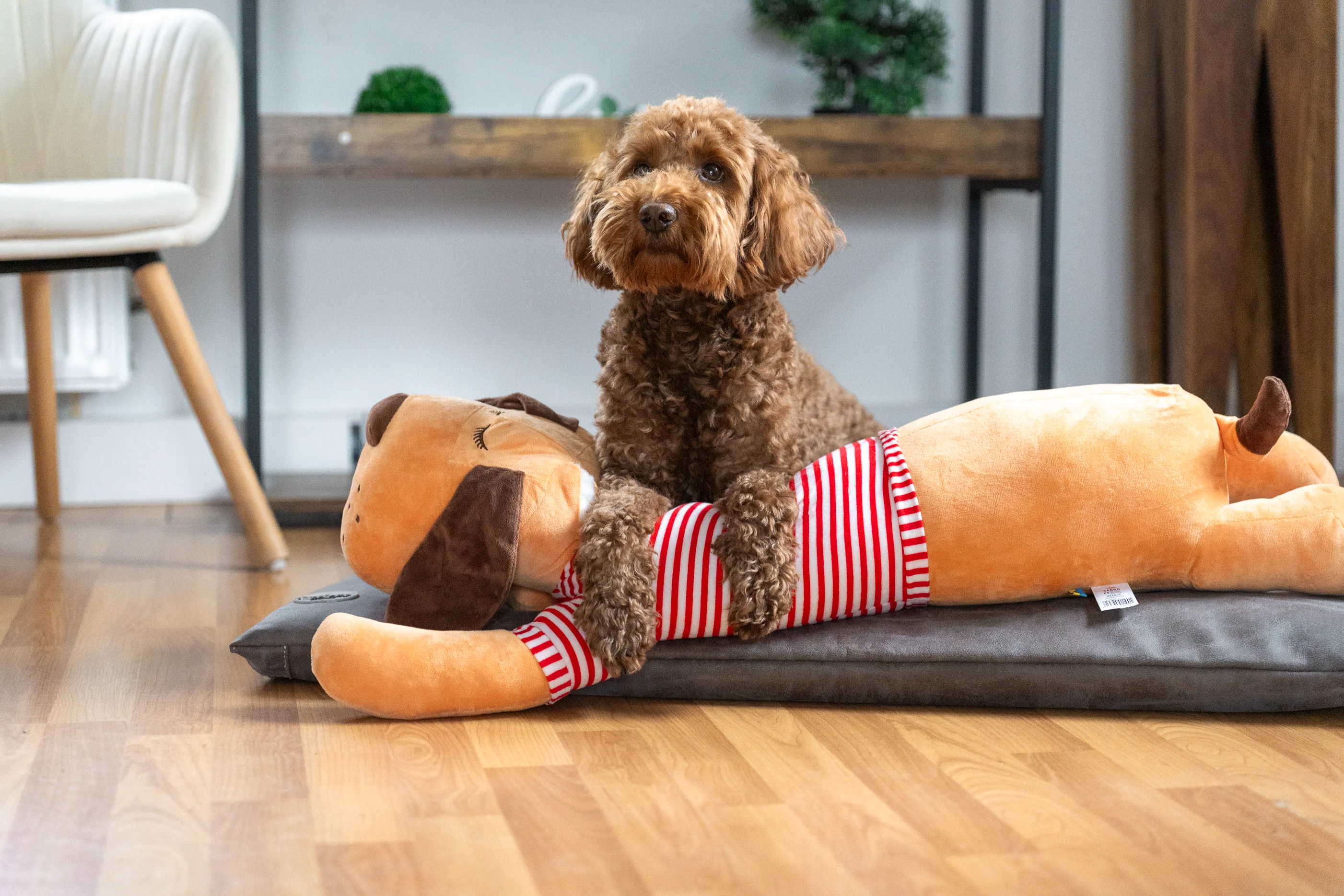 Ankuschelhund TOMTE - Image 2