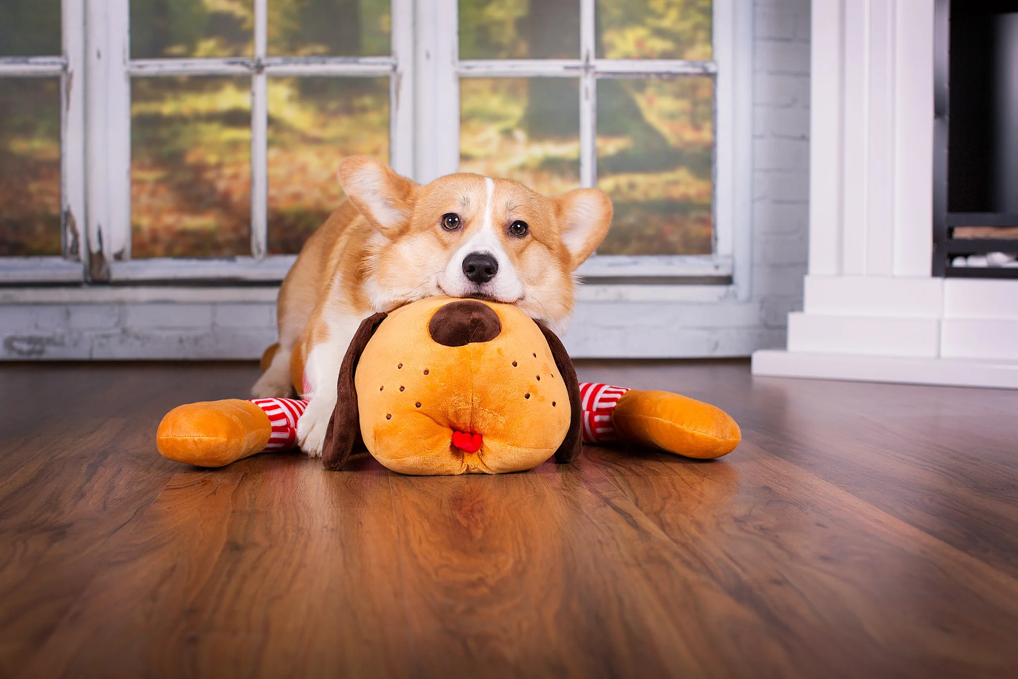 Ankuschelhund TOMTE - Image 7