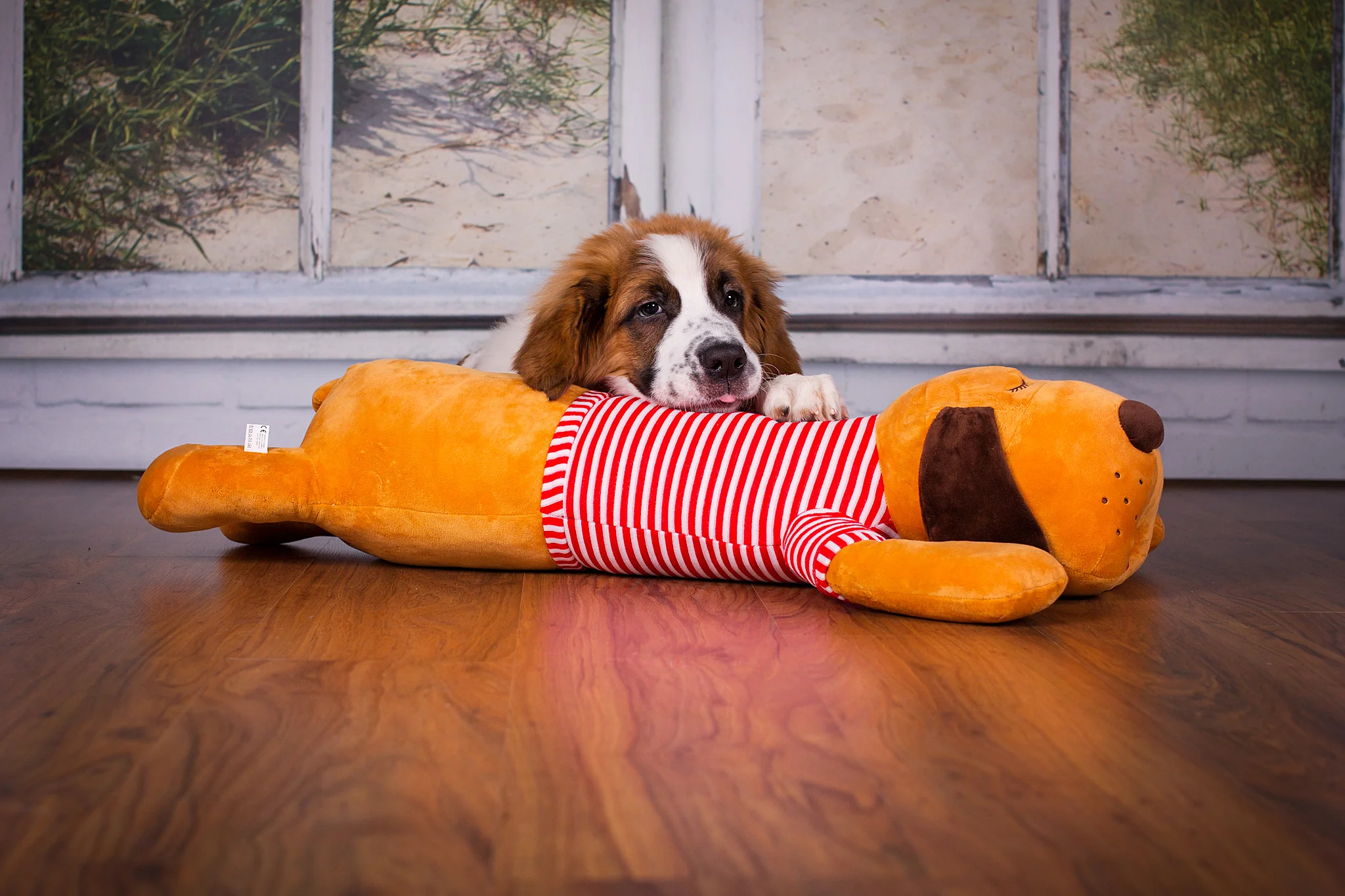 Ankuschelhund TOMTE - Image 9