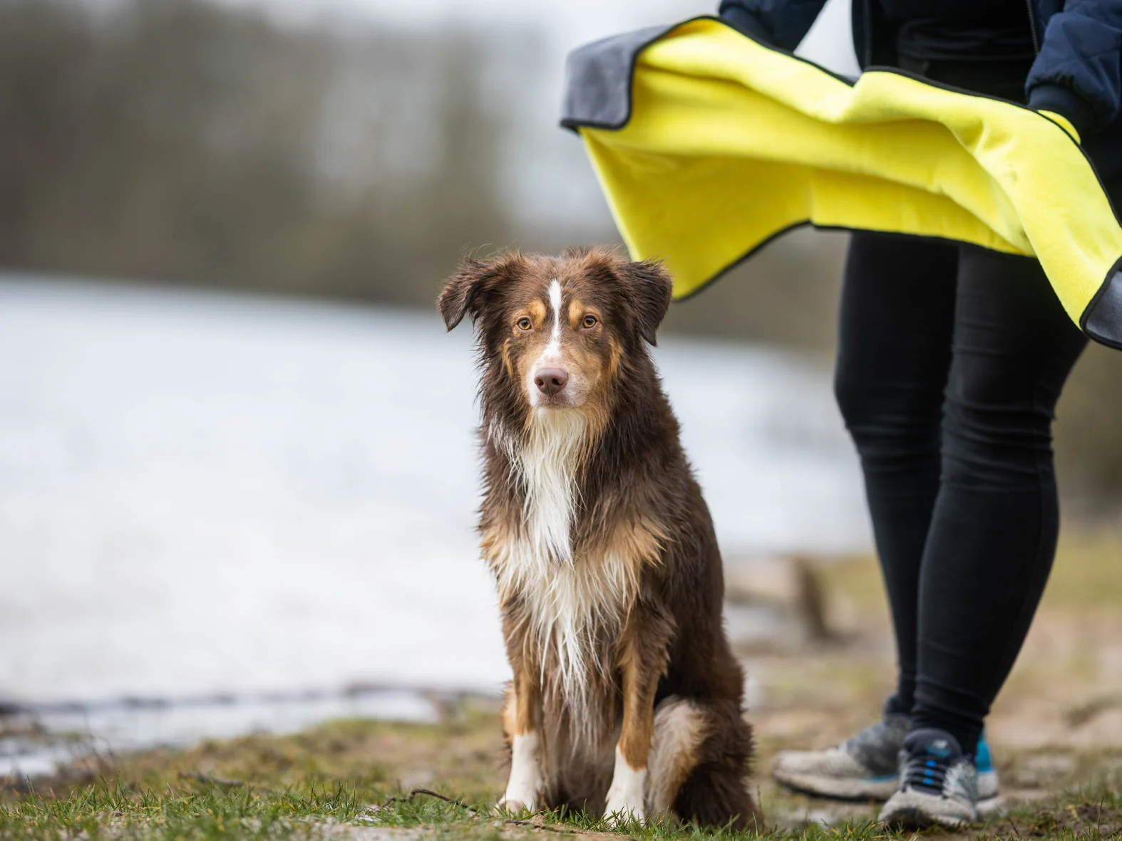 Handtuch BUDDY für Hunde - Image 3