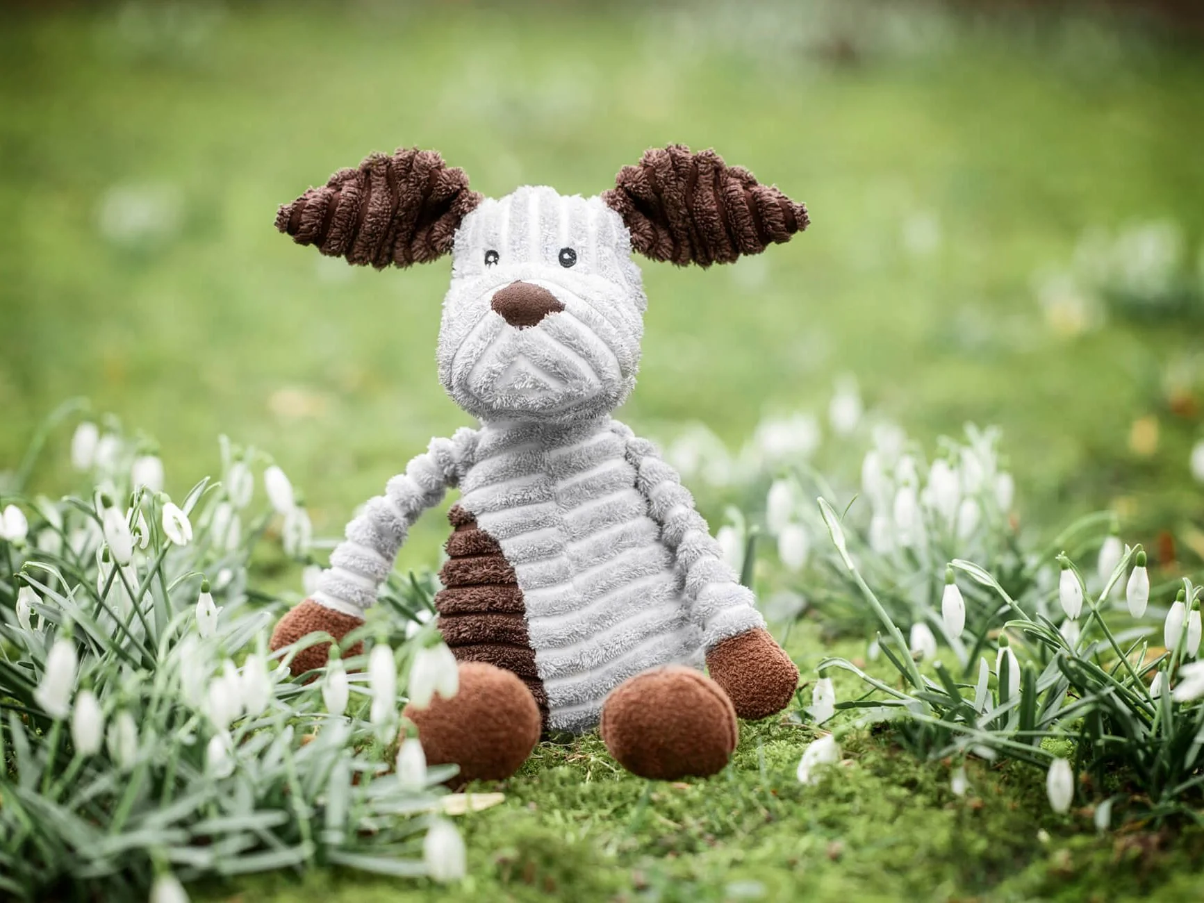 Hund MAX - Image 6