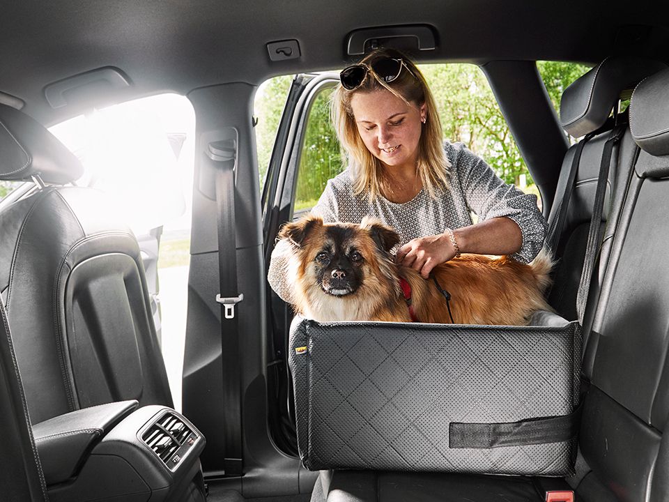 Autositz für Hunde RIDA - Image 4