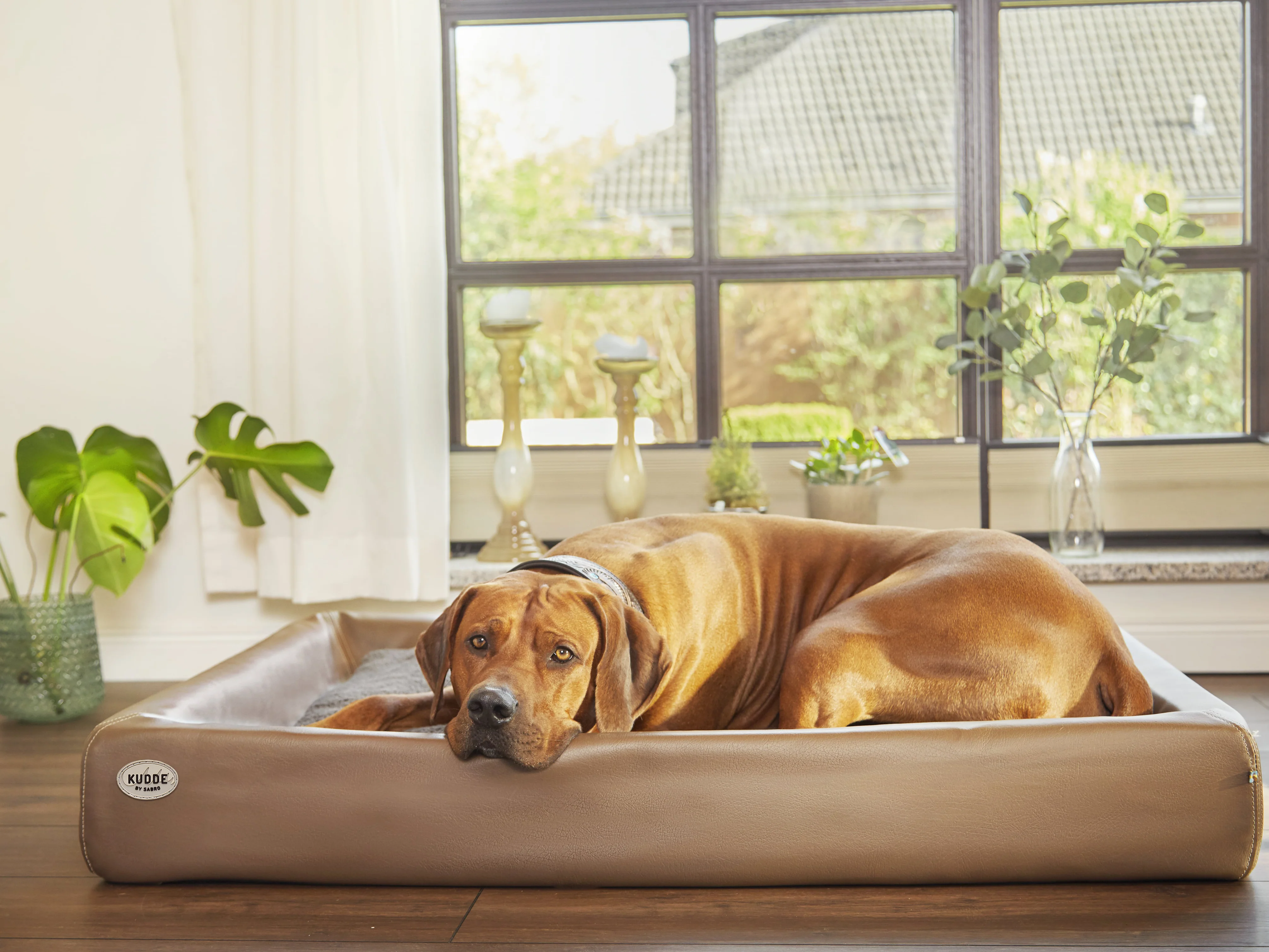 Hundebett KUDDE Kunstleder - Image 12