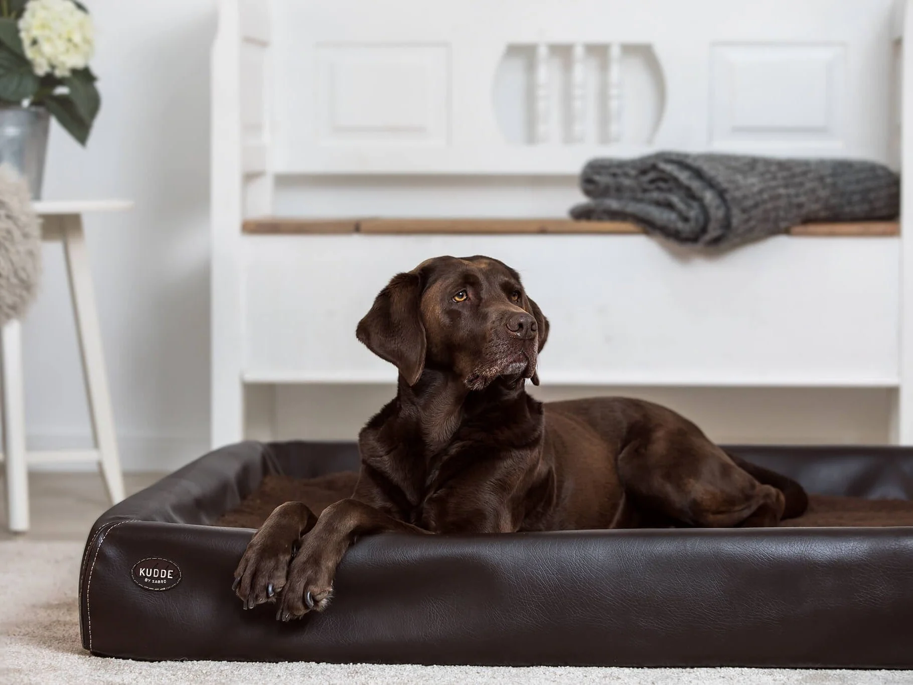 Hundebett KUDDE Kunstleder - Image 26