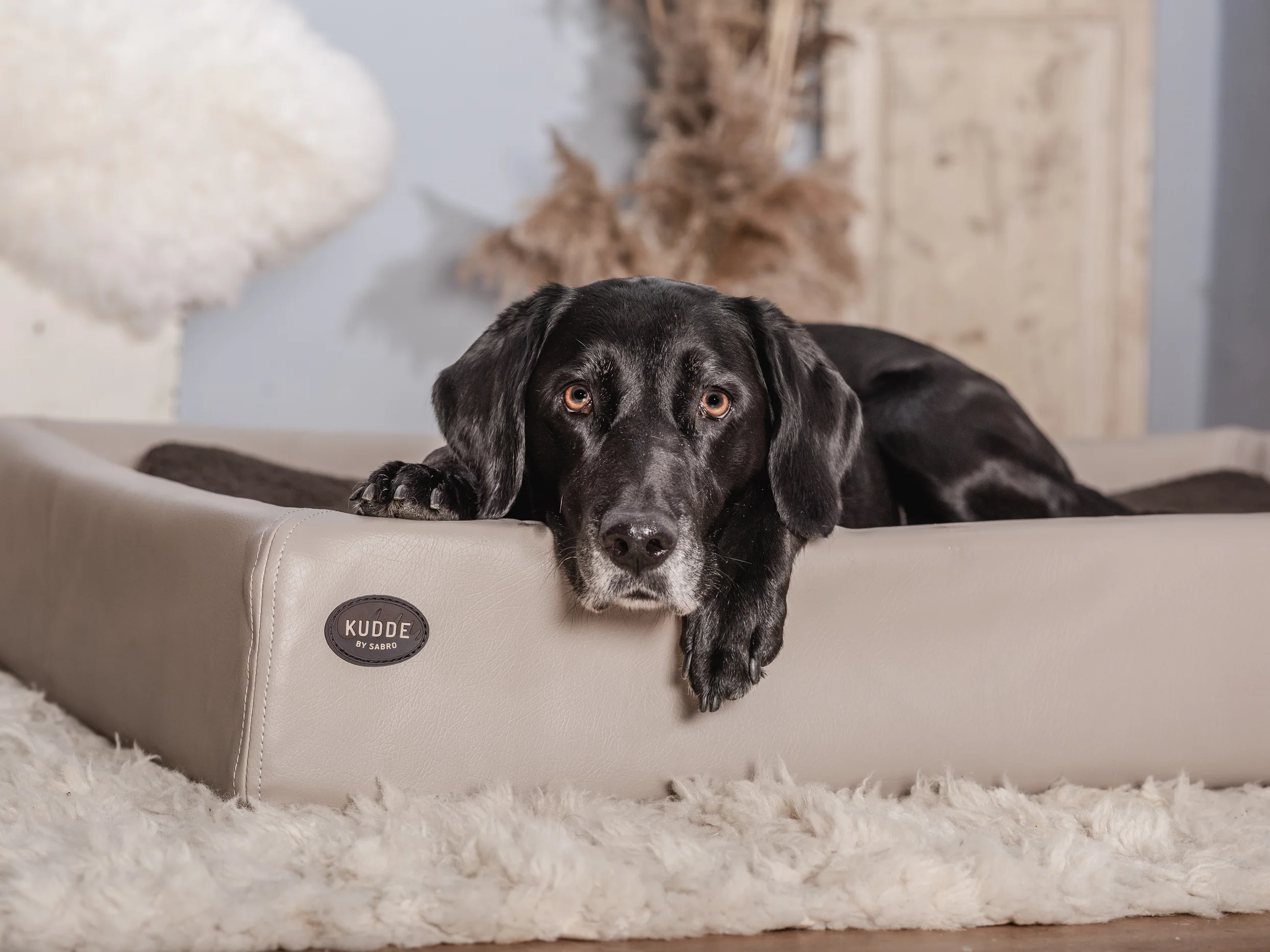 Hundebett KUDDE Kunstleder - Image 6