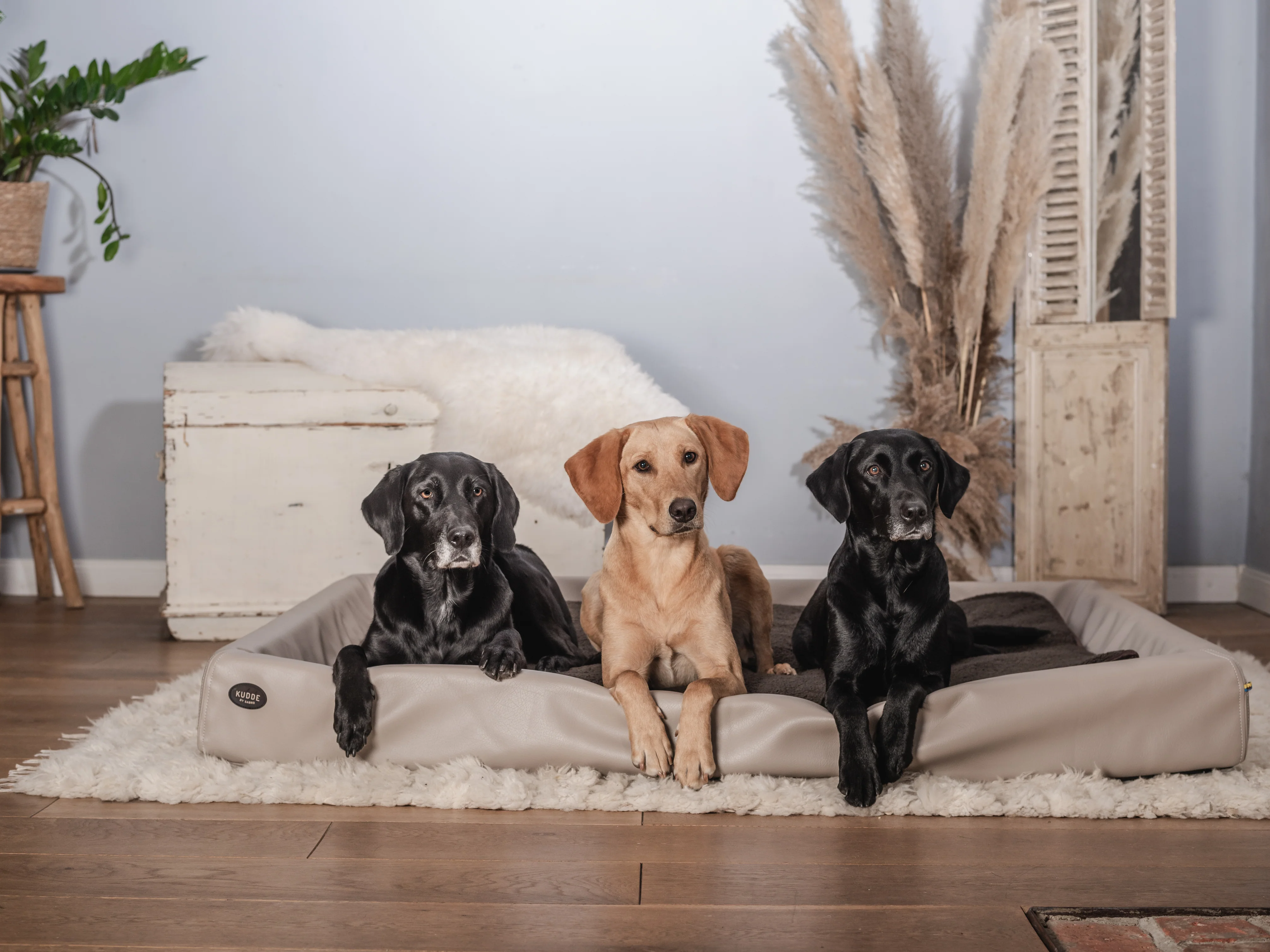 Hundebett KUDDE Kunstleder - Image 7