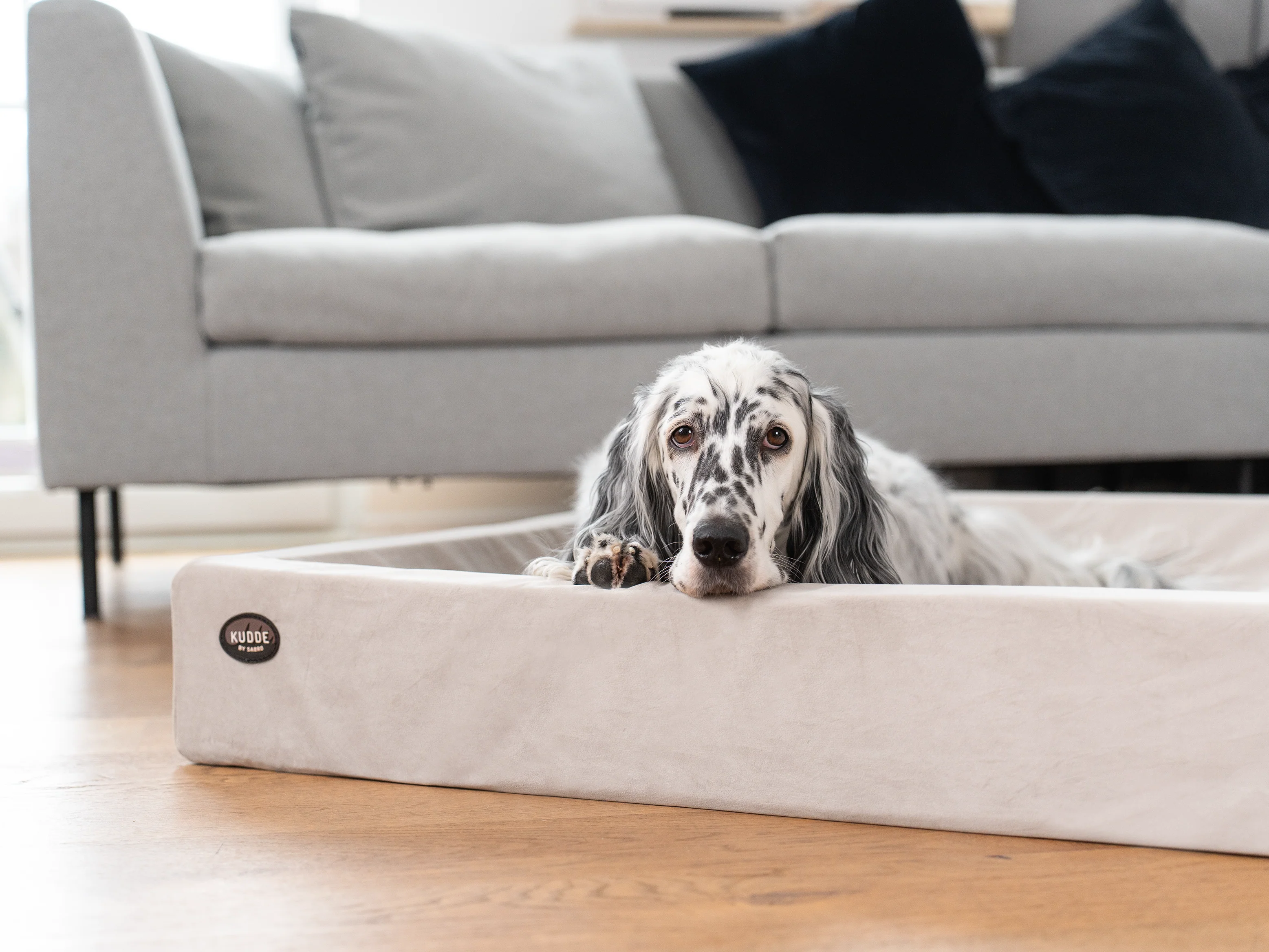 Hundebett KUDDE Samt - Image 9