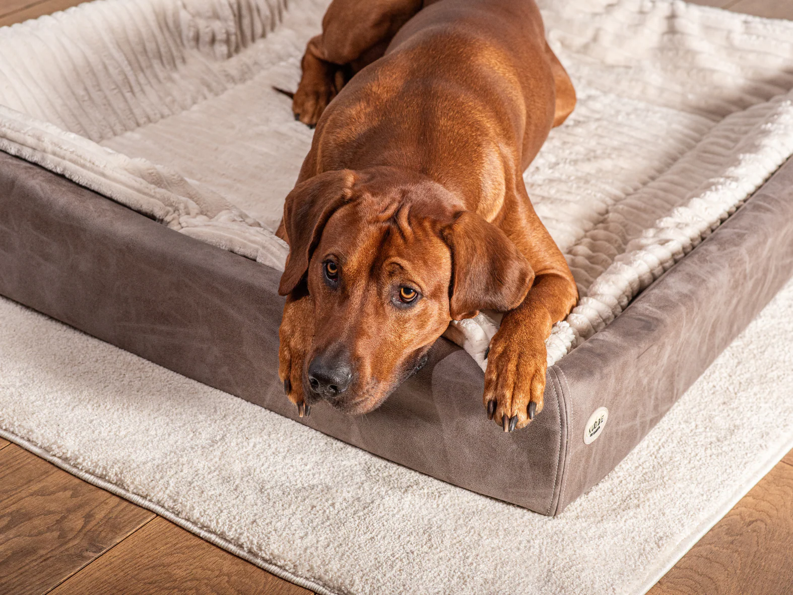Hundebett KUDDE veganes Wildleder - Image 6