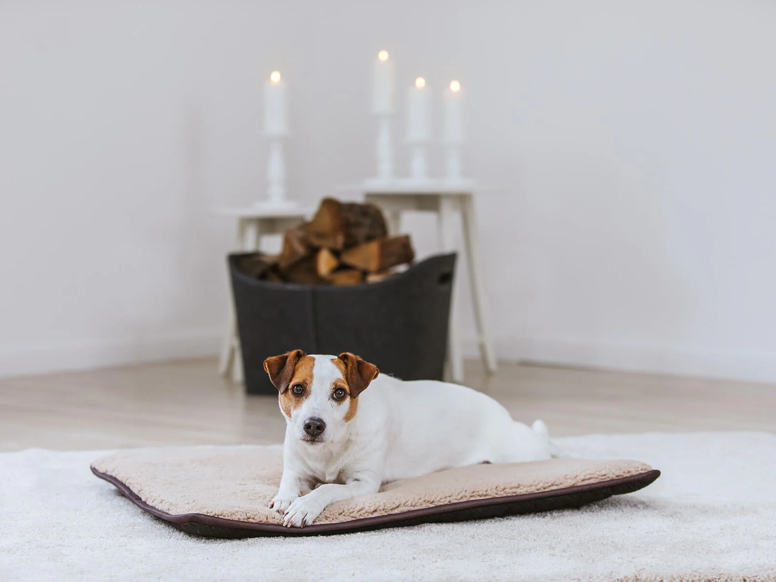 Hundematte HYGGE PAD - Image 4