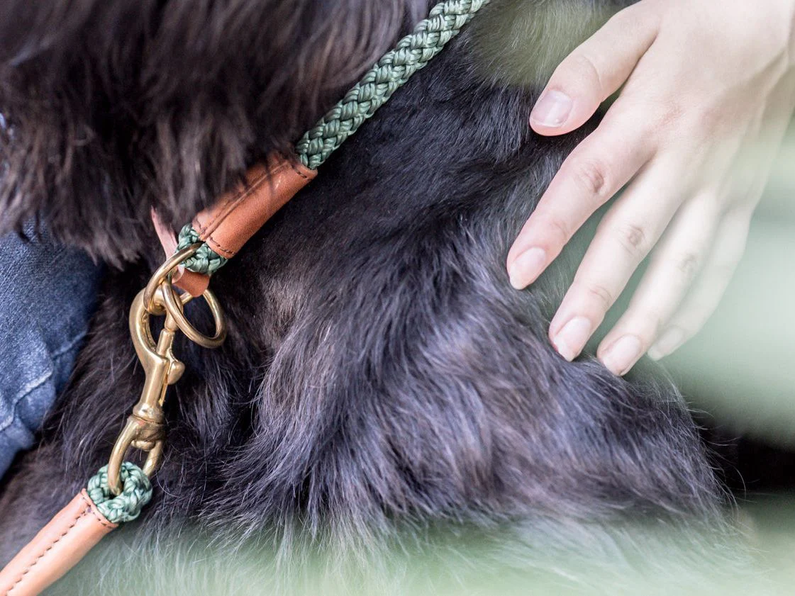 Hundehalsband OUTDOOR Rundzug - Image 4