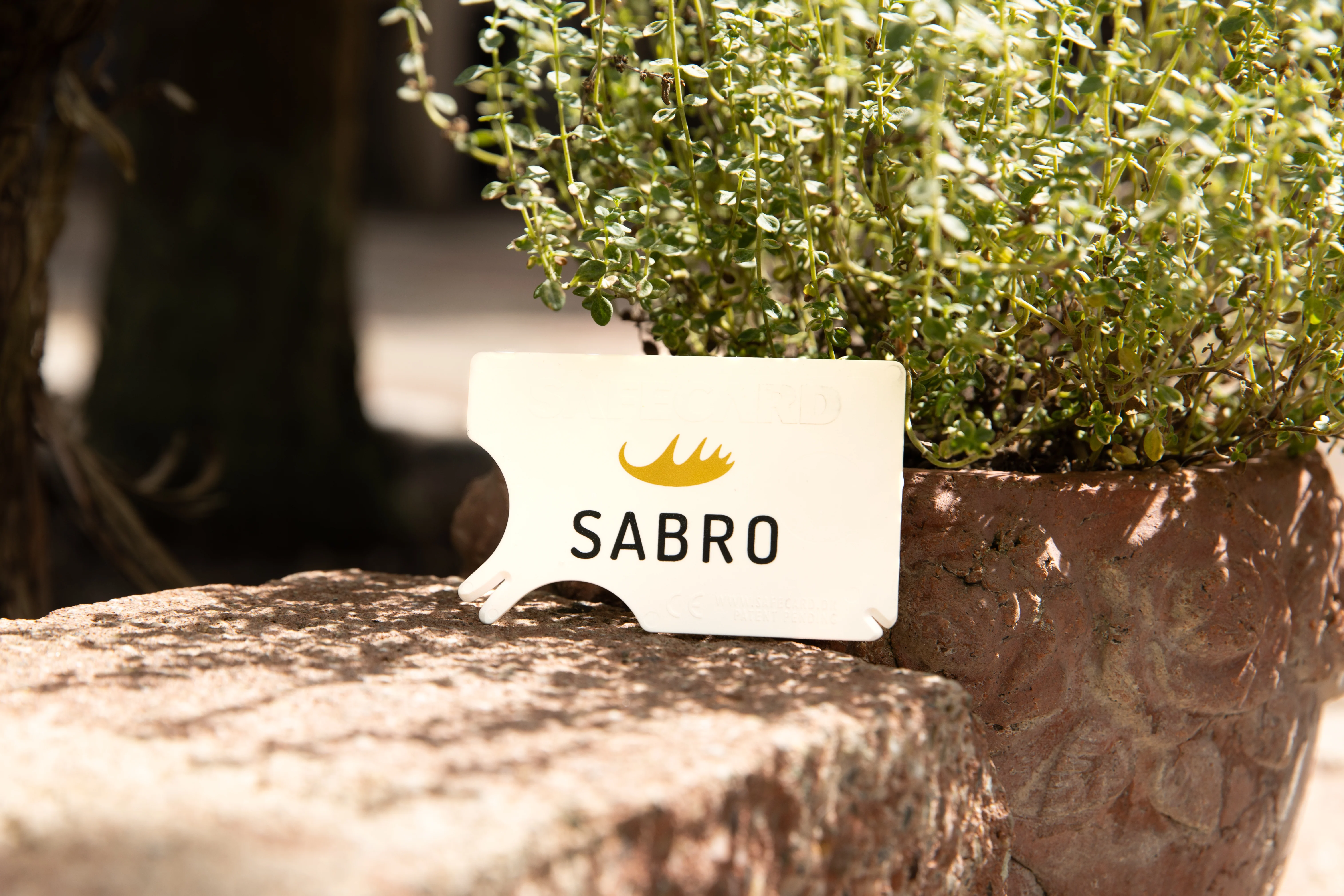 SABRO Zeckenkarte - Image 3